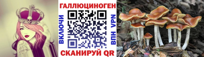 Псилоцибиновые грибы MAGIC MUSHROOMS  MEGA   Осташков 